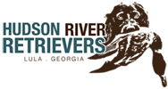 Hudson River Retrievers